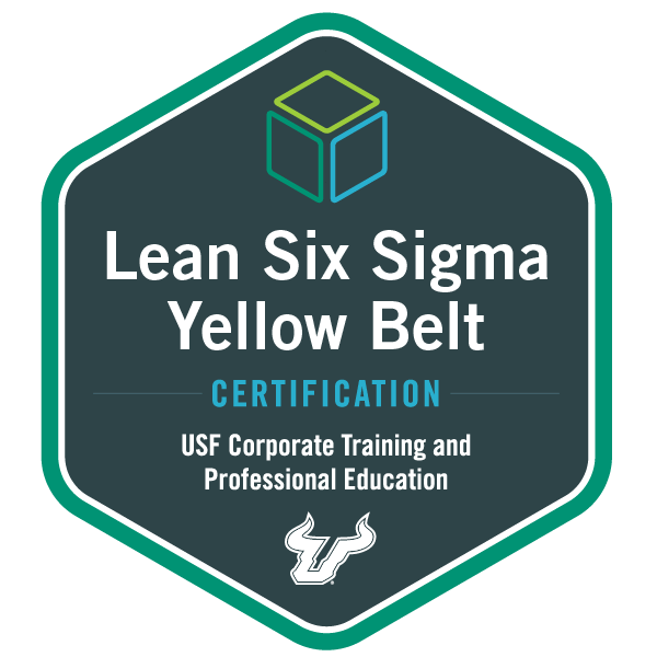 Lean Six Sigma Yellow Belt