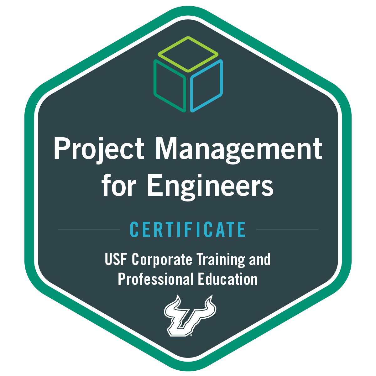 Project Management for Engineers