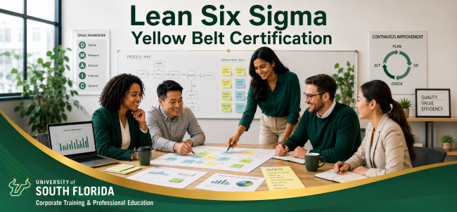 Lean Six Sigma Yellow Belt