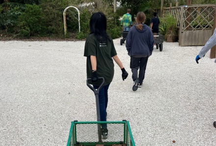 Ly Do pulling a wagon to help clean up at the USF Botanical Gardens.