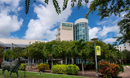 usf st petersburg