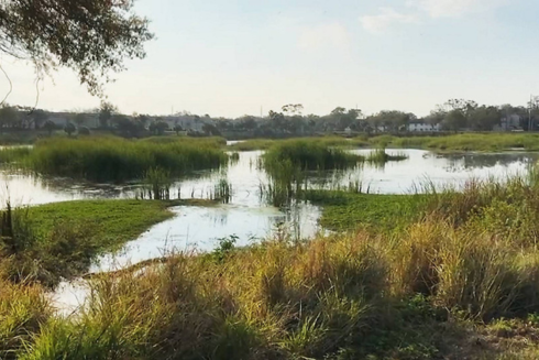 University of South Florida: A Preeminent Research University