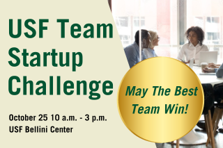 Team Startup Challenge