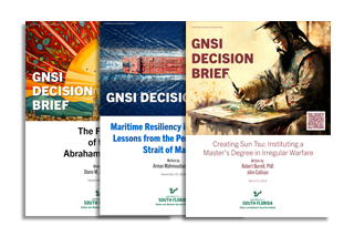 Graphic showing images of 2024 Decision Briefs Published by GNSI