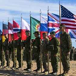 Soldiers stand at attention with flags of U.S. Allies and partner nations