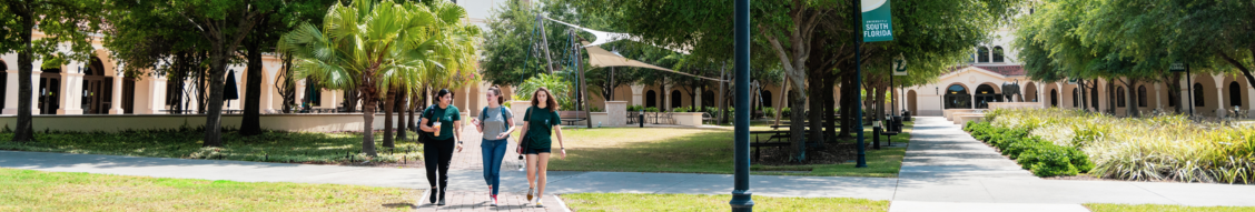 Students walking image