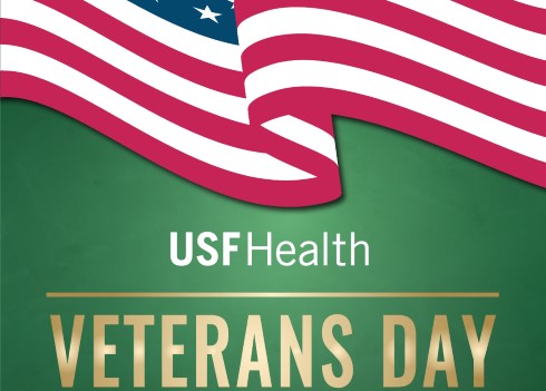 Flag with USF Health Veterans Day logo 