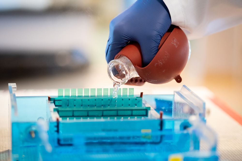 worker in a USF Health laboratory 