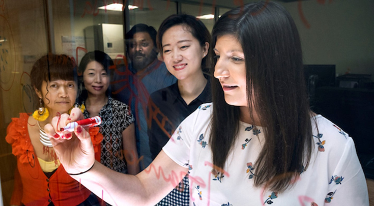 group of people writing on clear board