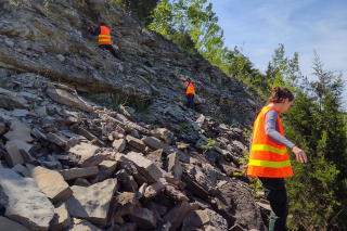 Students search for fossils.