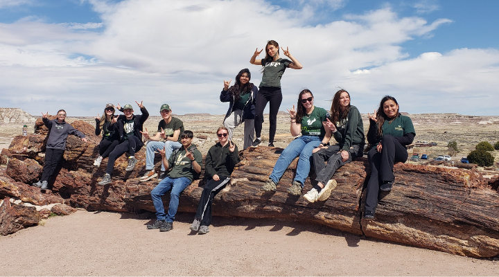 A group of 11 Judy Genshaft Honors College pose for a photo while making a Go Bulls sign in a rocky, desert landscape