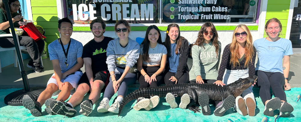 Honors students sit on the ground and smile with the rescue alligator sweetie on their laps.