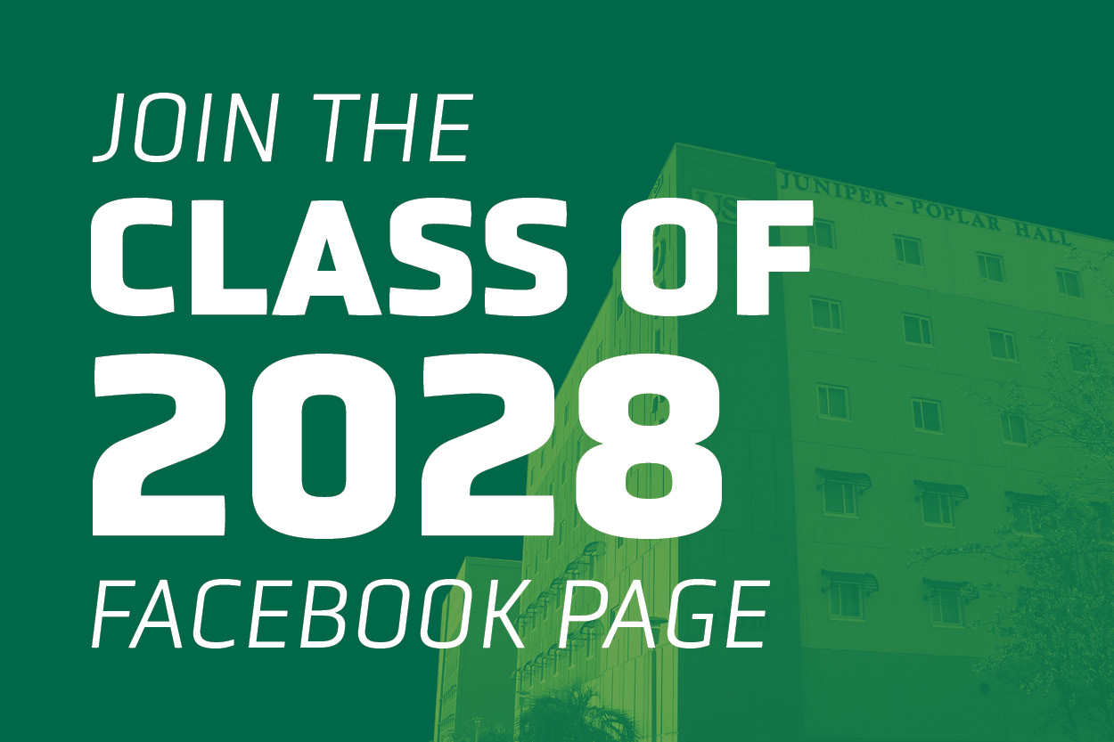 2028 Facebook 
