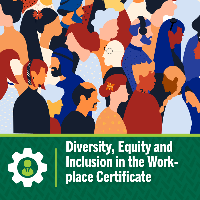 diversity equity and inclusion