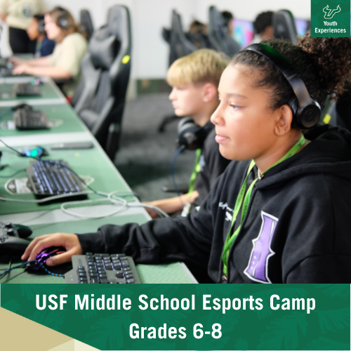 USF Esports Camp with text stating "USF Esports summer camp grades 6-8"