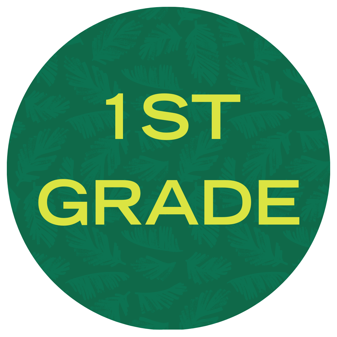 USF Summer Bridge Math Program 1st Grade with text stating "1st Grade"