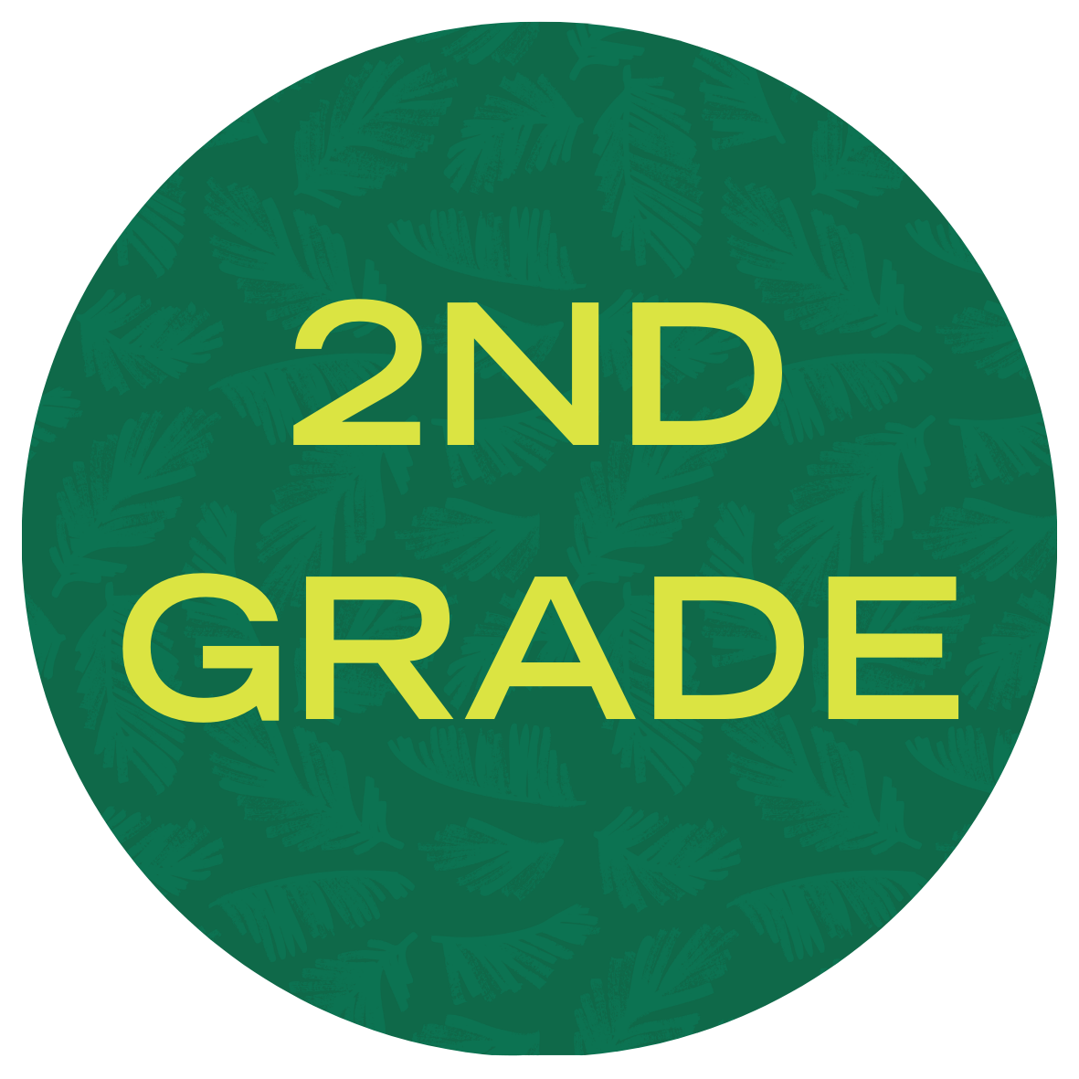 USF Summer Bridge Math Program 2nd Grade with text stating "2nd Grade"