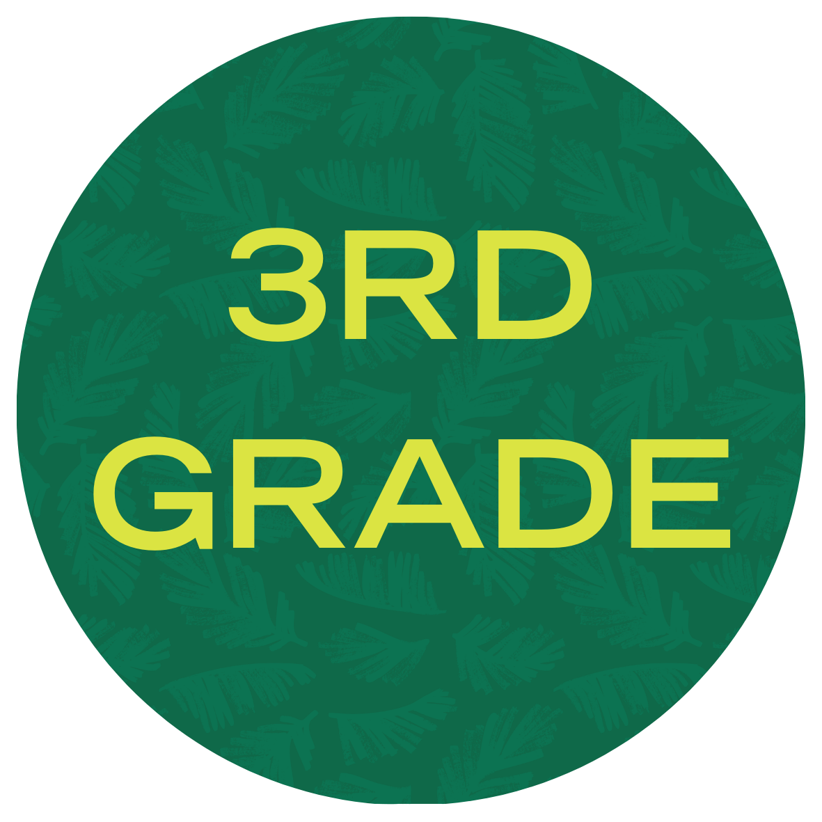 USF Summer Bridge Math Program 3rd Grade with text stating "3rd Grade"