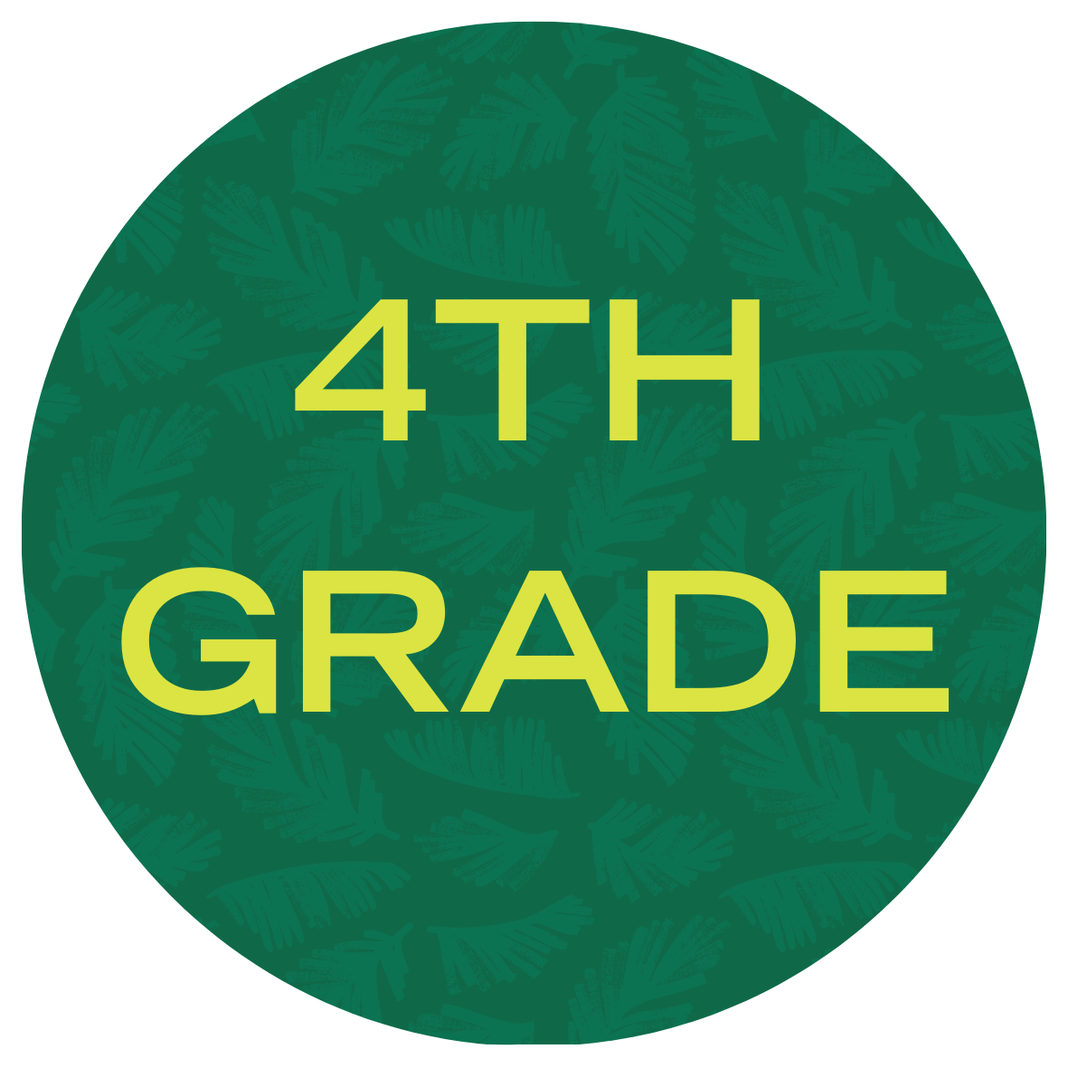 USF Summer Bridge Math Program 4th Grade with text stating "4th Grade"