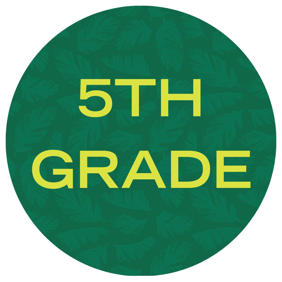 USF Summer Bridge Math Program 5th Grade with text stating "5th Grade"