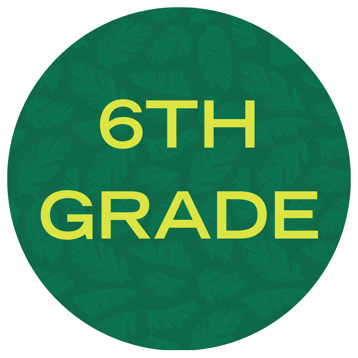 USF Summer Bridge Math Program 6th Grade with text stating "6th Grade"