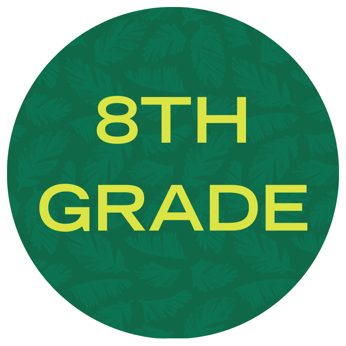 USF Summer Bridge Math Program 8th Grade with text stating "8th Grade"