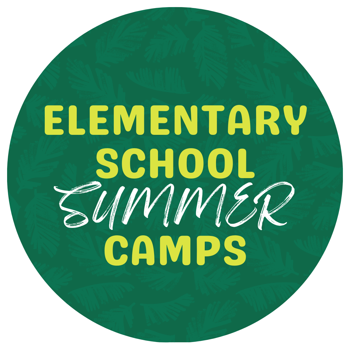 USF Elemementary Summer Camps with text stating "USF Elementary School Summer Camps"