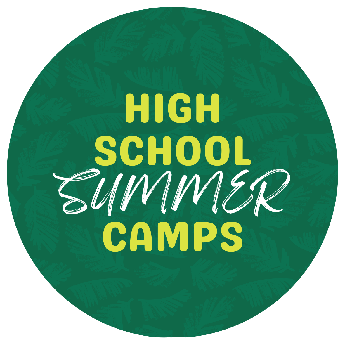 USF High School Summer Camps with text stating "USF High School Summer Camps"