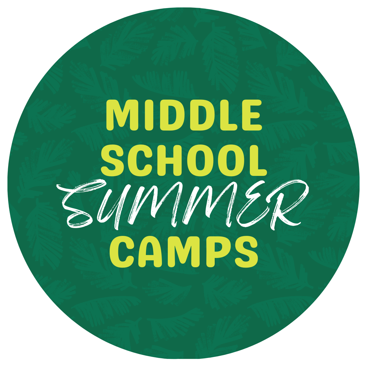 USF Middle School Summer Camps with text stating "USF Middle School Summer Camps"