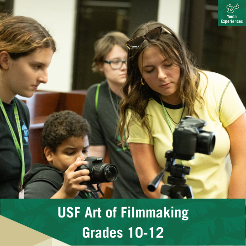 USF Art of Filmmaking 