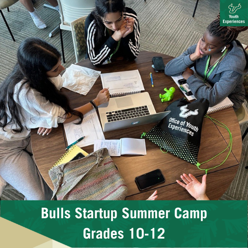 Bulls Startup Summer Camp with text stating "Bulls Startup Summer Camp Grades 10-12"