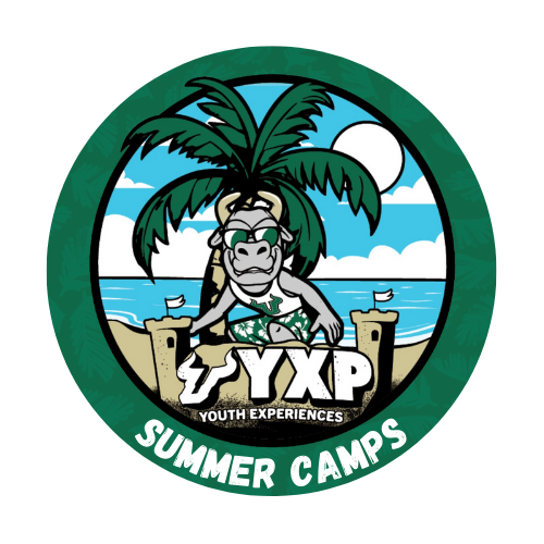 USF Summer Camps with text stating "USF Summer Camps"