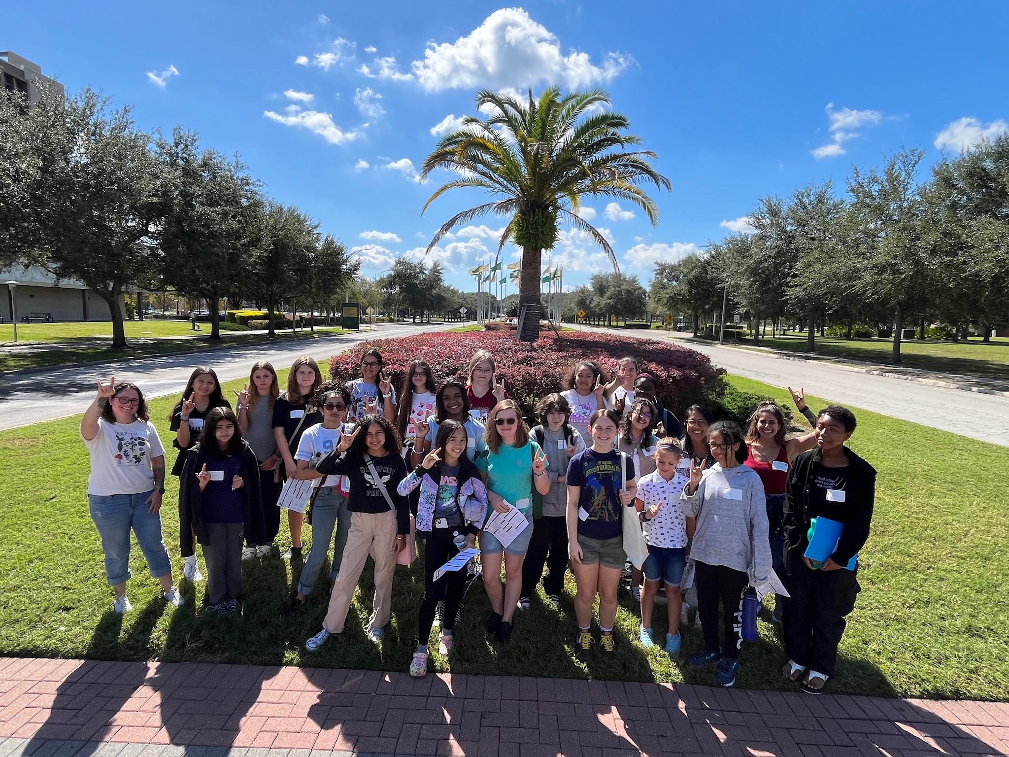 Sea Stars at USF