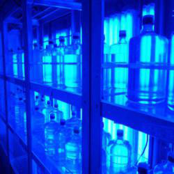 Incubation Van Biome Lab USF CMS