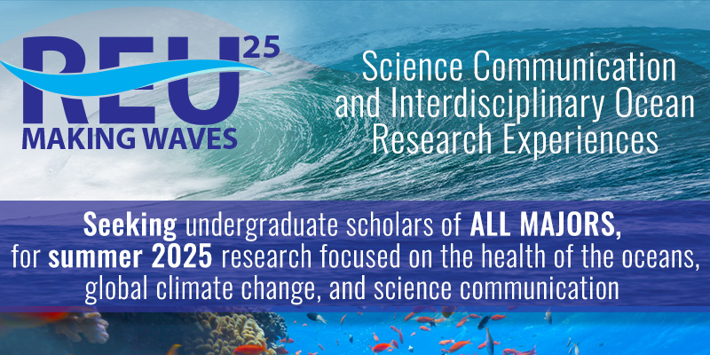 USF Making Waves REU Flyer