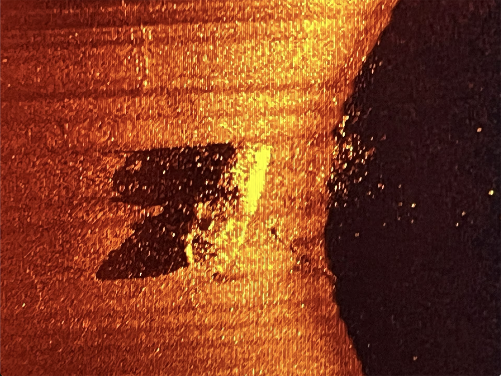 A side-scan sonar image of Sir Ernest Shackleton’s last ship, Quest, discovered by a team led by USF alum and shipwreck hunter David Mearns. Credit: Royal Canadian Geographical Society.