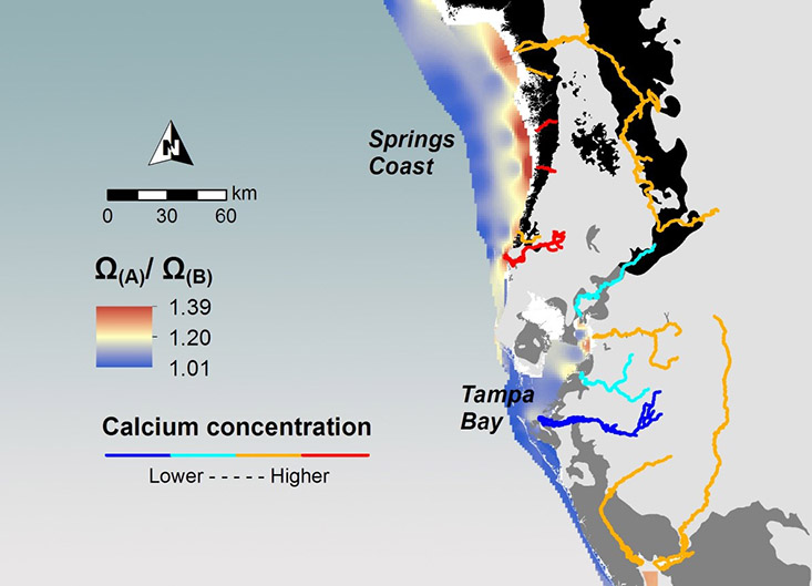 A map highlighting calcification potential in coastal waters by showing the effect of riverine calcium on calcium carbonate saturation states. 
