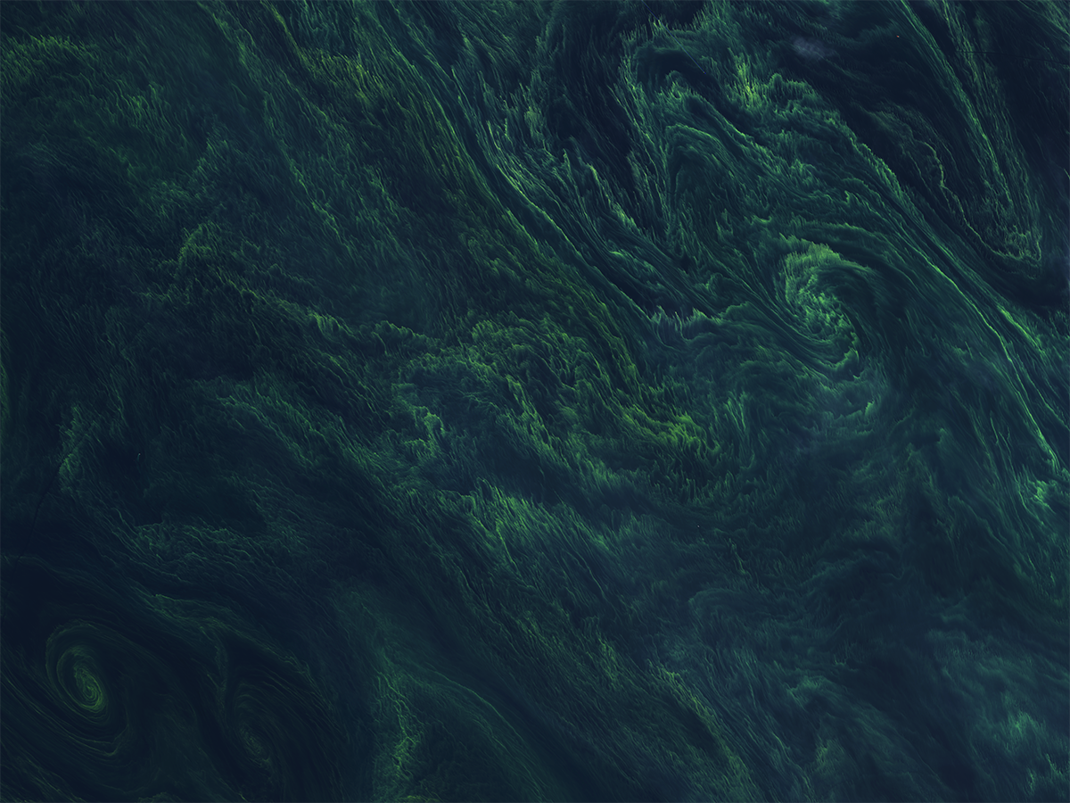 A cyanobacteria bloom in the Baltic Sea reveals dynamic biological and physical activities such as stripes, swirls, and eddies. Photo Credit: OLI on the Landsat-8 satellite.