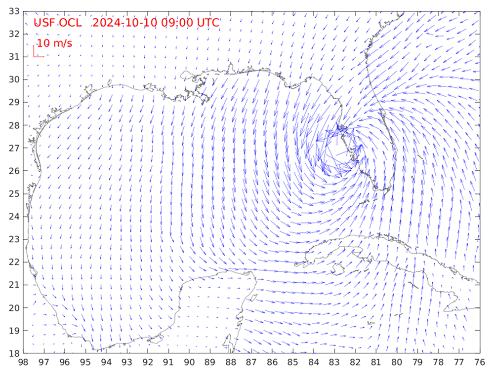 This image from the Forecast Winds in the Gulf of Mexico Region (NOAA/NCEP NAM Product) depicts wind fields in the Gulf of Mexico region as Hurricane Milton made landfall in Florida. Courtesy of Yonggang Liu.