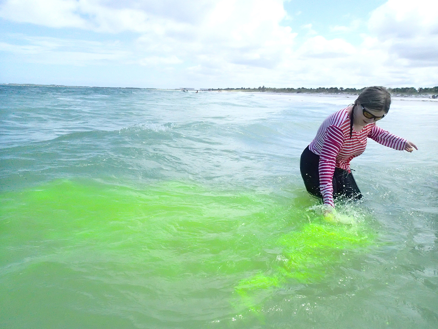 Campers used a fluorescent green dye to measure the speed and direction of currents in the water. Each 