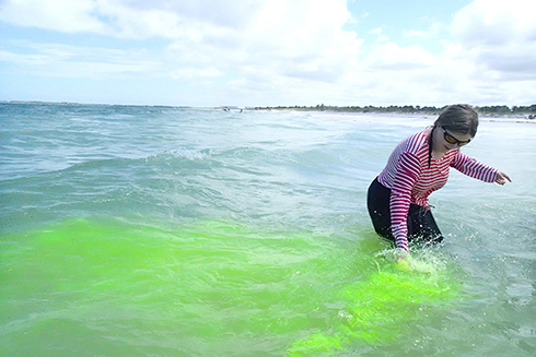 Campers used a fluorescent green dye to measure the speed and direction of currents in the water. Each 