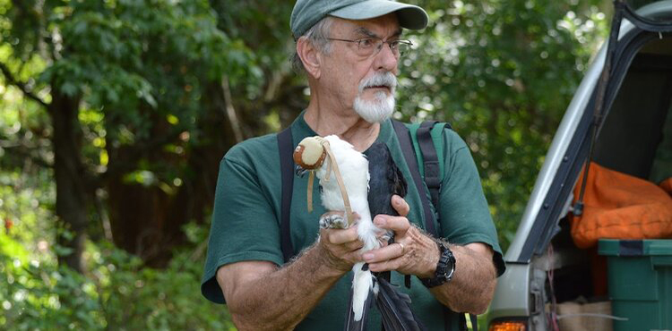 Gabe Vargo with a rehabilitated raptor.  Photo credit: J. Clayton