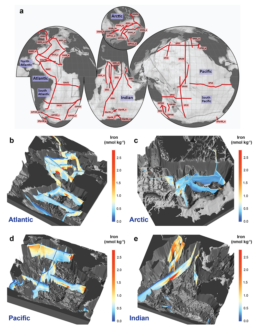 a global map shows GEOTRACES cruise sections and process studies from which dissolved iron concentrations 