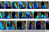 Imagery for USF Optical Oceanography Lab // Credit University of South Florida, the Florida Channel 2/25/2025