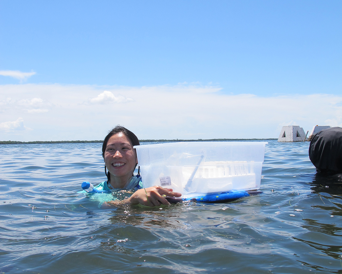 Jean Lim, a postdoc in the Breitbart Lab, uses qPCR and metagenomics approaches to study marine viruses.