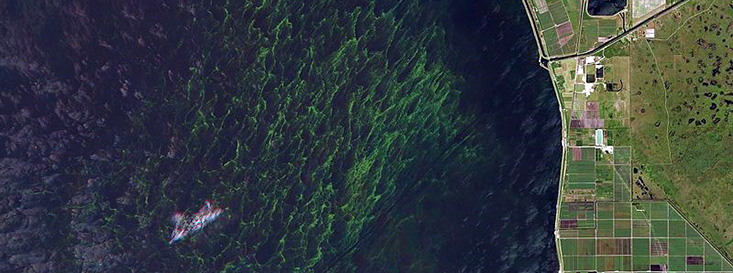 An aerial shot of Florida’s largest lake, Lake Okeechobee. Photo courtesy of Wikipedia Commons