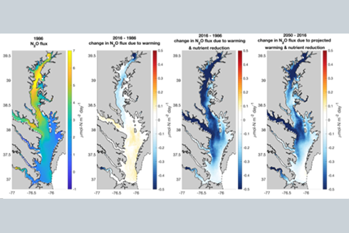 Model-predicted N2O emissions in Chesapeake Bay under warming and nutrient management. Courtesy of Weiyi Tang.