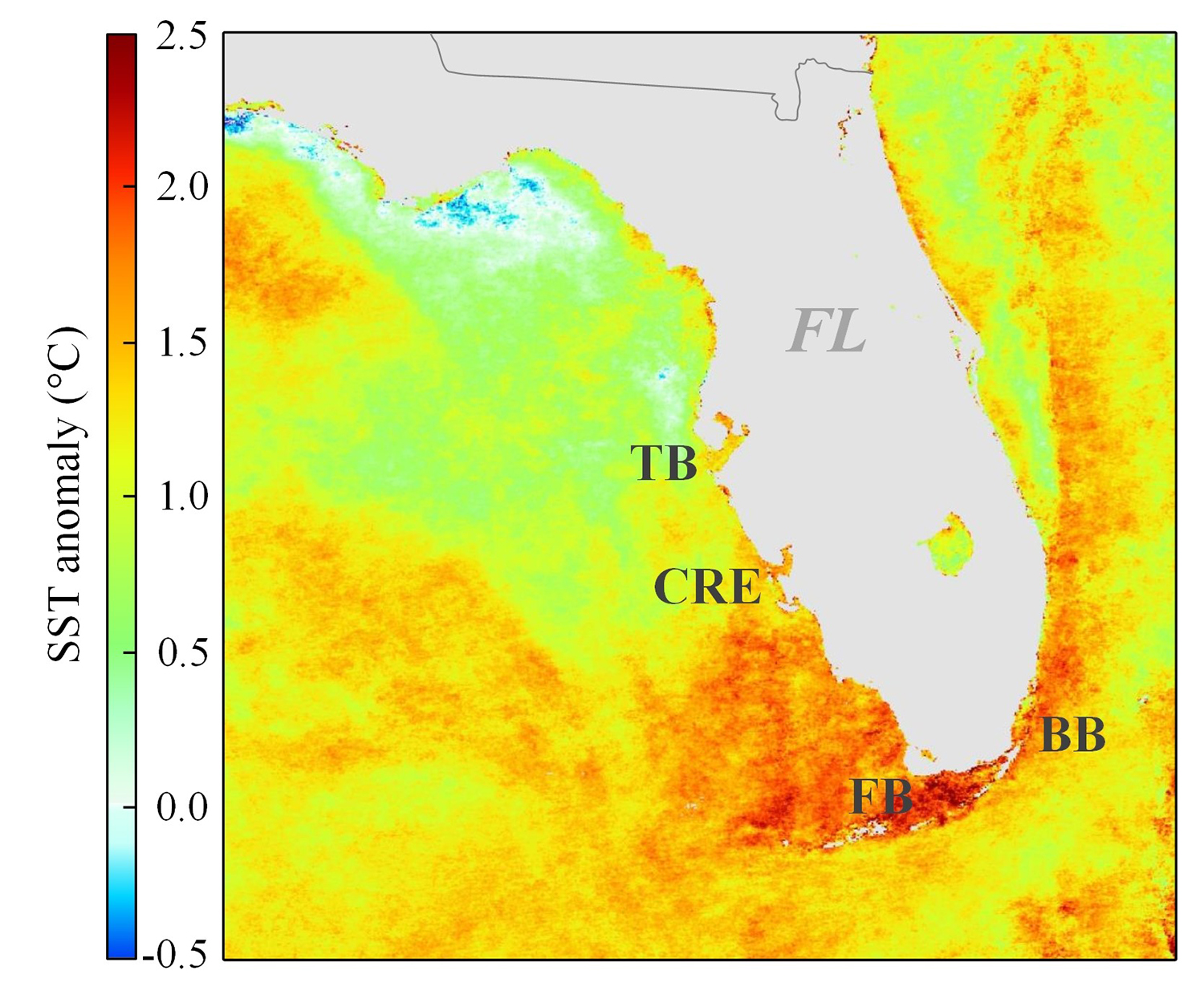 This image from the MODIS dataset shows surface water temperatures off Southwest Florida in July 2023 is mostly two degrees Celsius warmer than the previous 20 years in response to the 2023 marine heat wave. Courtesy of Jing Shi.