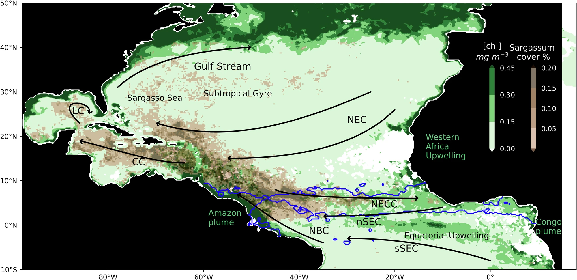 Multiple MODIS satellite images were aggregated to show the typical annual Sargassum coverage and chlorophyll distribution after 2011. Sargassum was moved from the Sargasso Sea to the tropics via currents depicted by arrows. Figure from Jouanno et al. (2025).