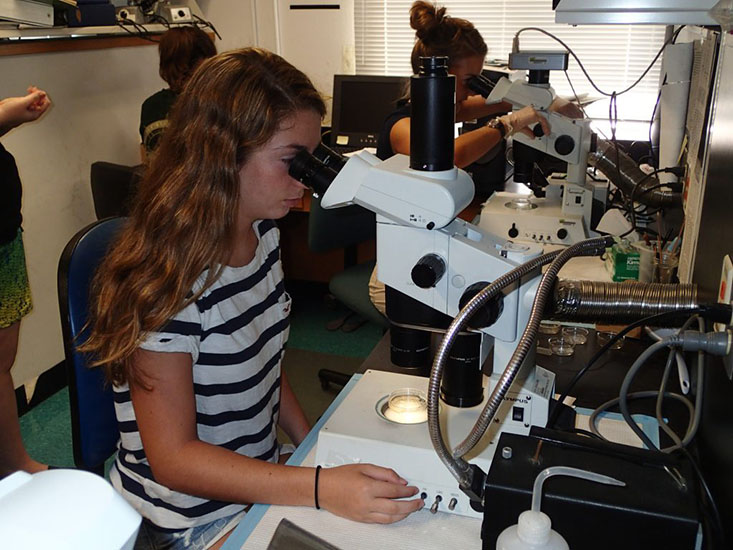 In the Plankton Lab, Oceanography Camp for Girls